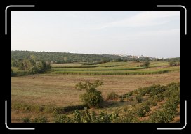 08-23-10 362 * 1728 x 1152 * (516KB)